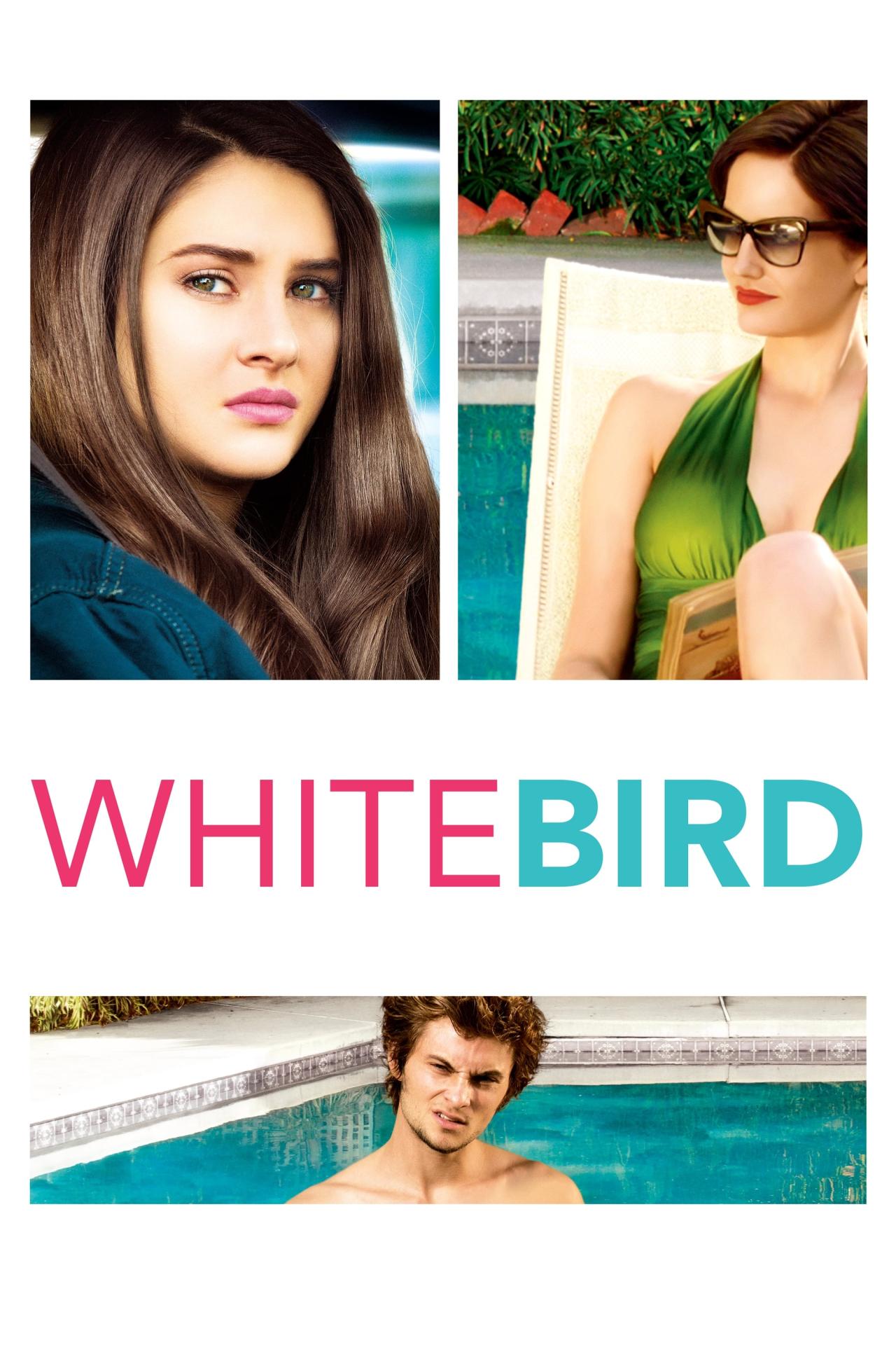 White Bird est-il disponible sur Netflix ou autre ?