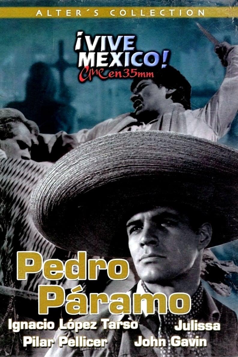 Pedro Páramo est-il disponible sur Netflix ou autre ?