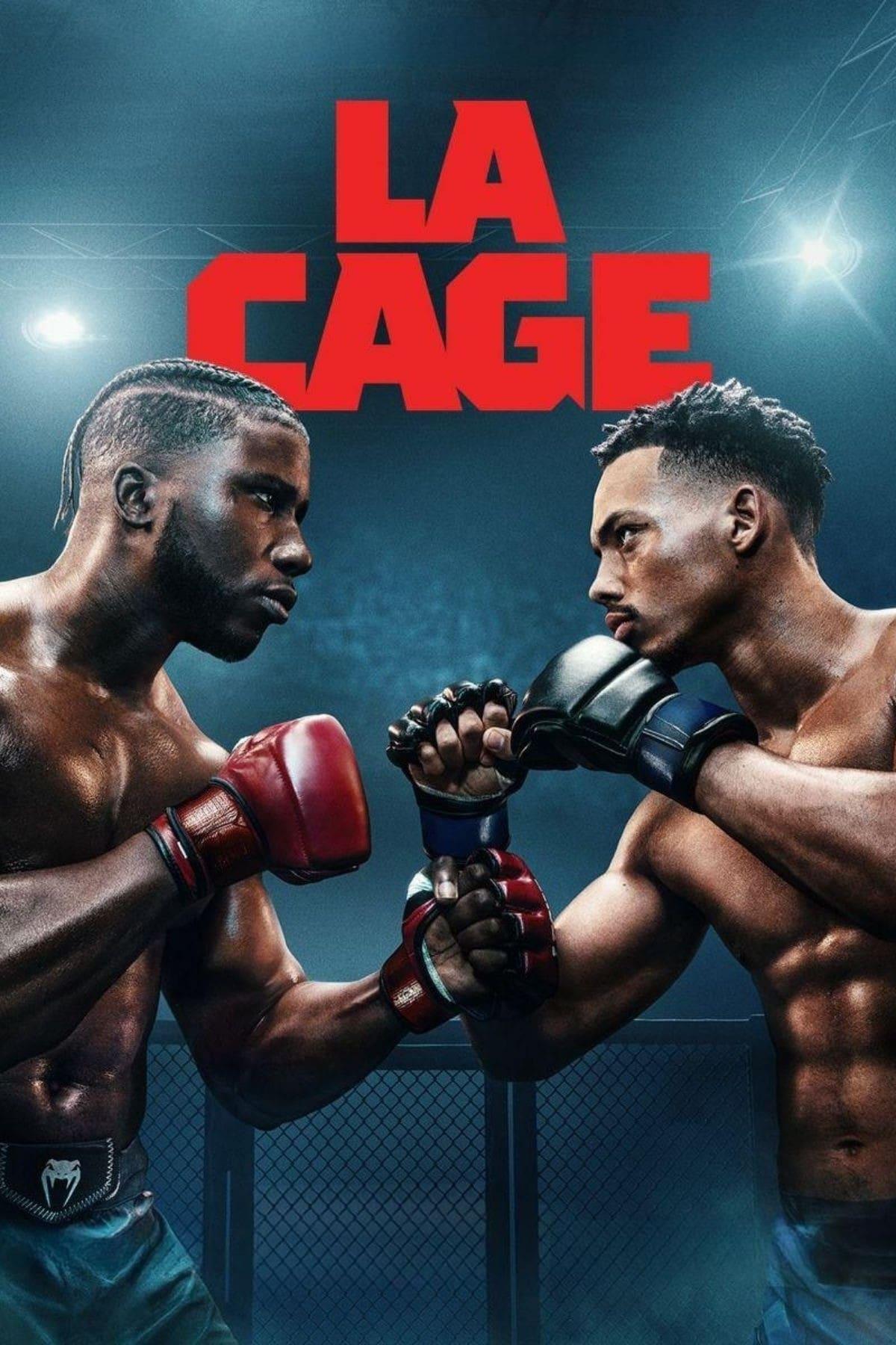 Les saisons de La Cage sont-elles disponibles sur Netflix ou autre ?