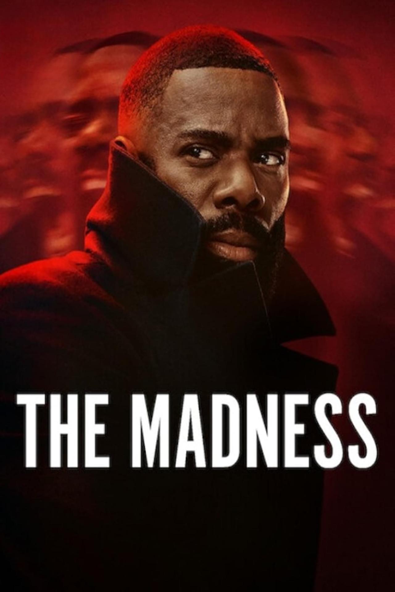 Affiche de la série The Madness poster