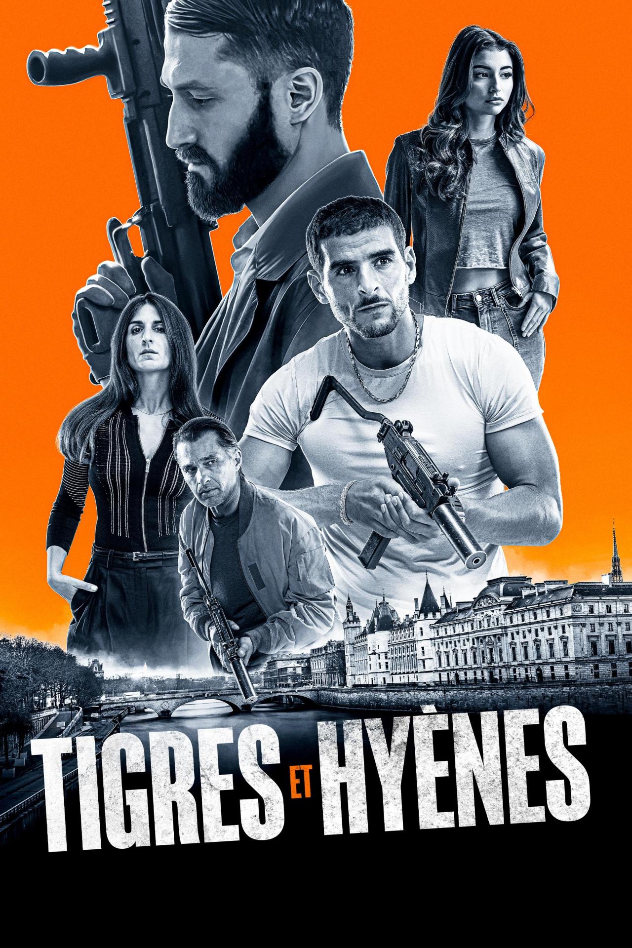 Tigres et Hyènes est-il disponible sur Netflix ou autre ?