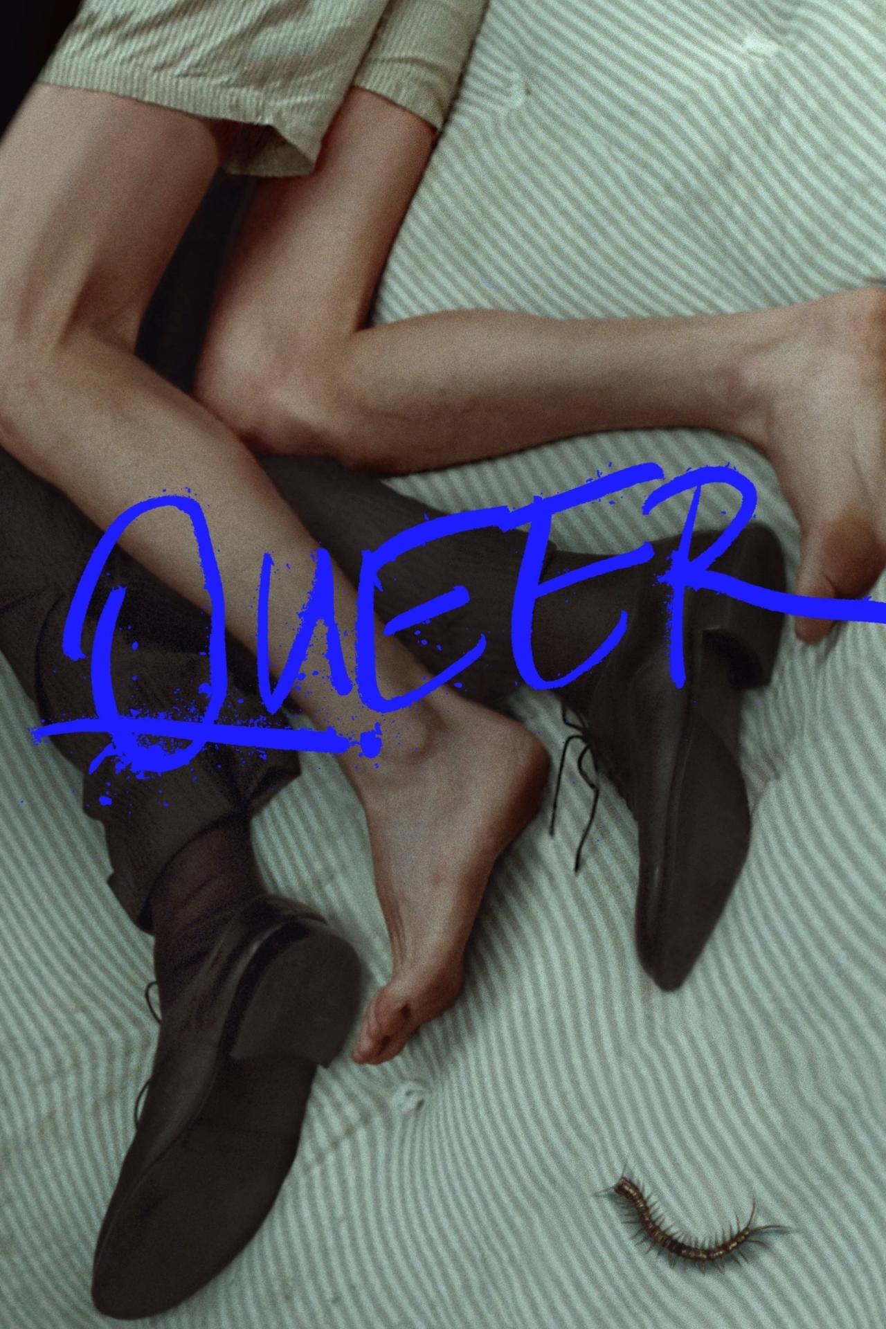 Queer est-il disponible sur Netflix ou autre ?