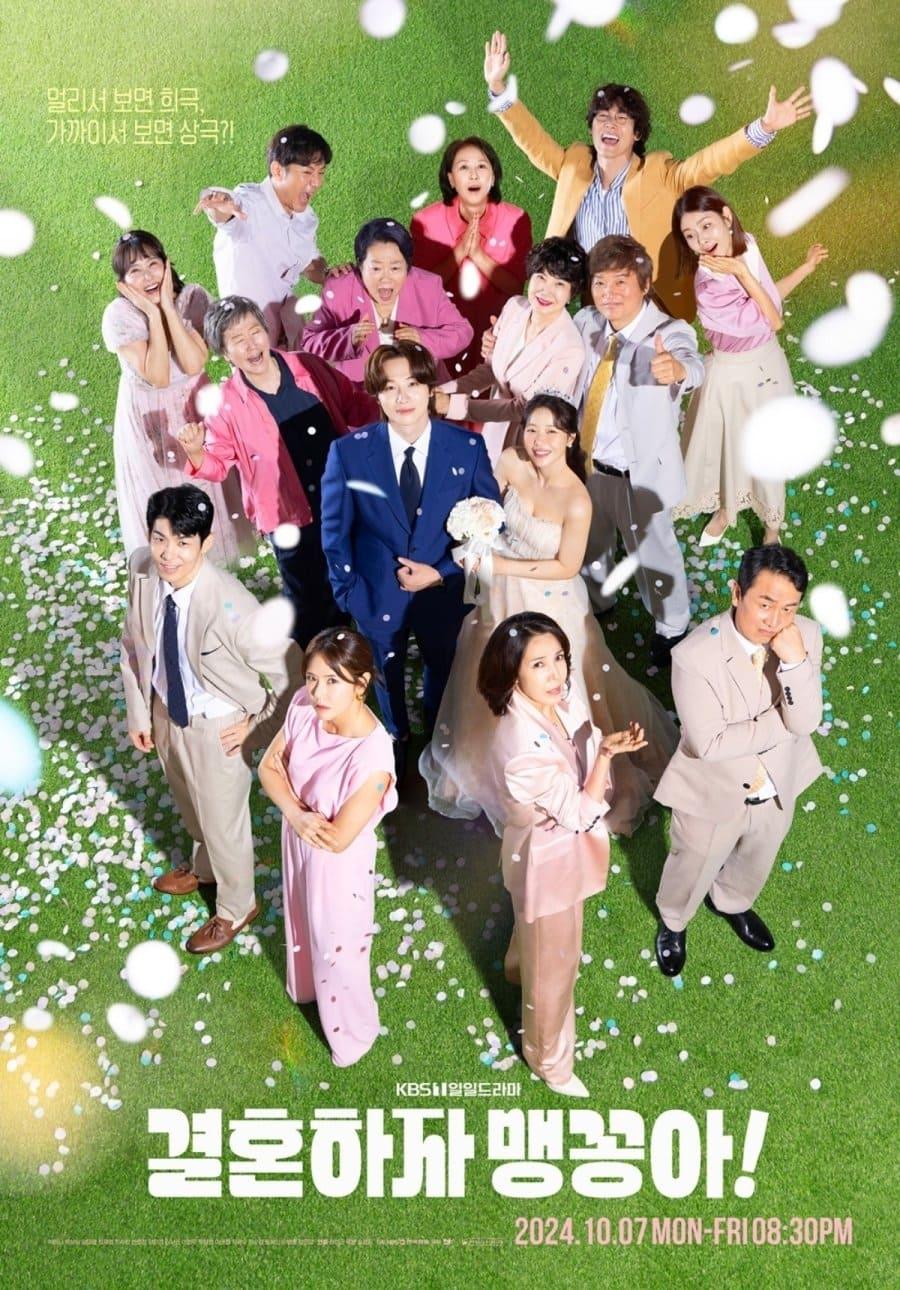 Les saisons de 결혼하자 맹꽁아! sont-elles disponibles sur Netflix ou autre ?