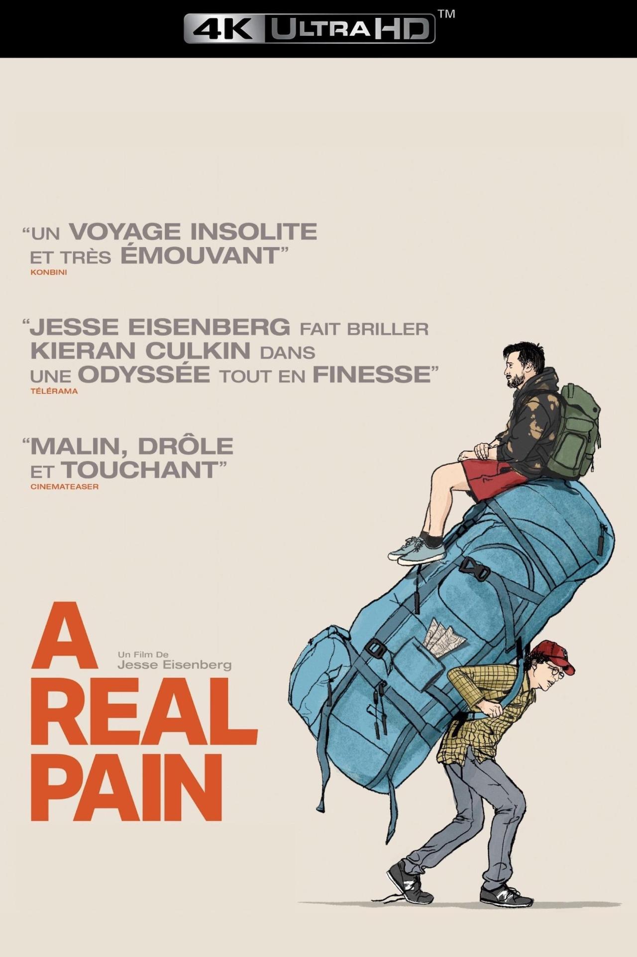 A Real Pain est-il disponible sur Netflix ou autre ?