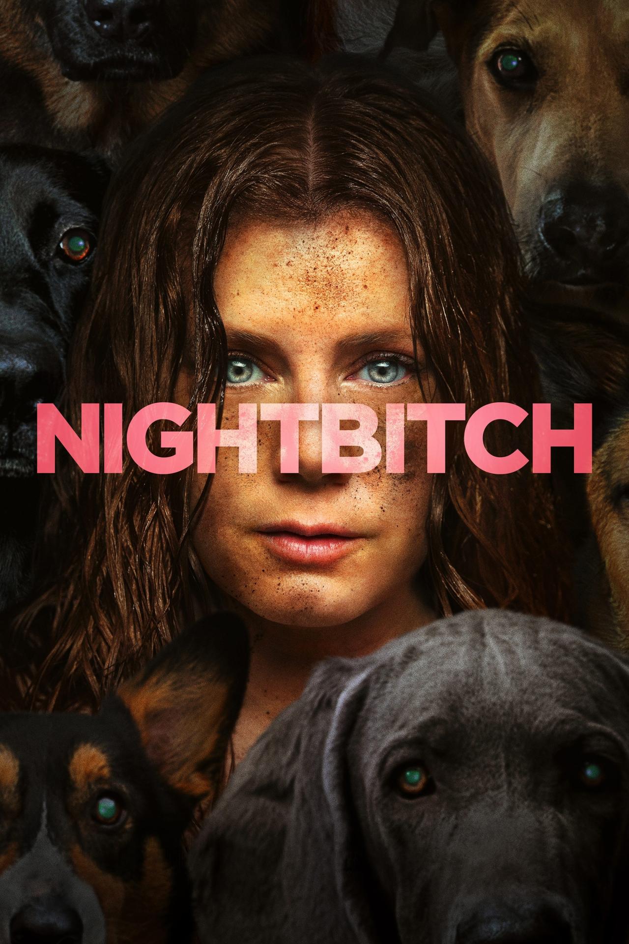 Nightbitch est-il disponible sur Netflix ou autre ?