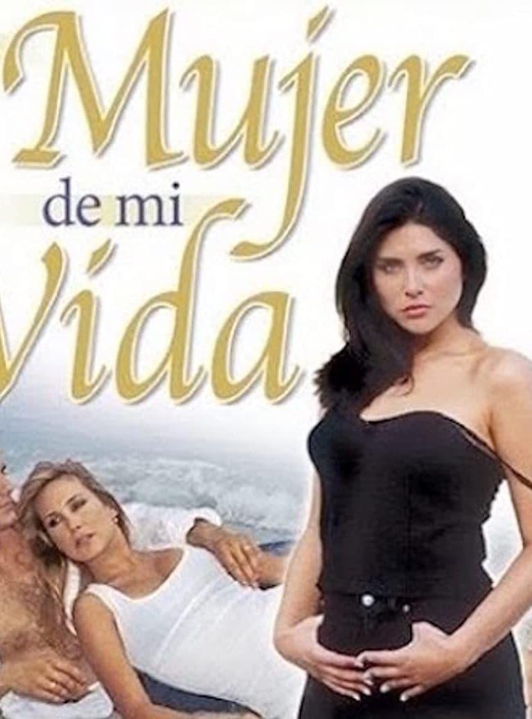 Les saisons de LA MUJER DE MI VIDA sont-elles disponibles sur Netflix ou autre ?