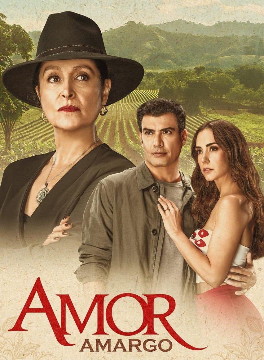 Les saisons de Amor amargo sont-elles disponibles sur Netflix ou autre ?