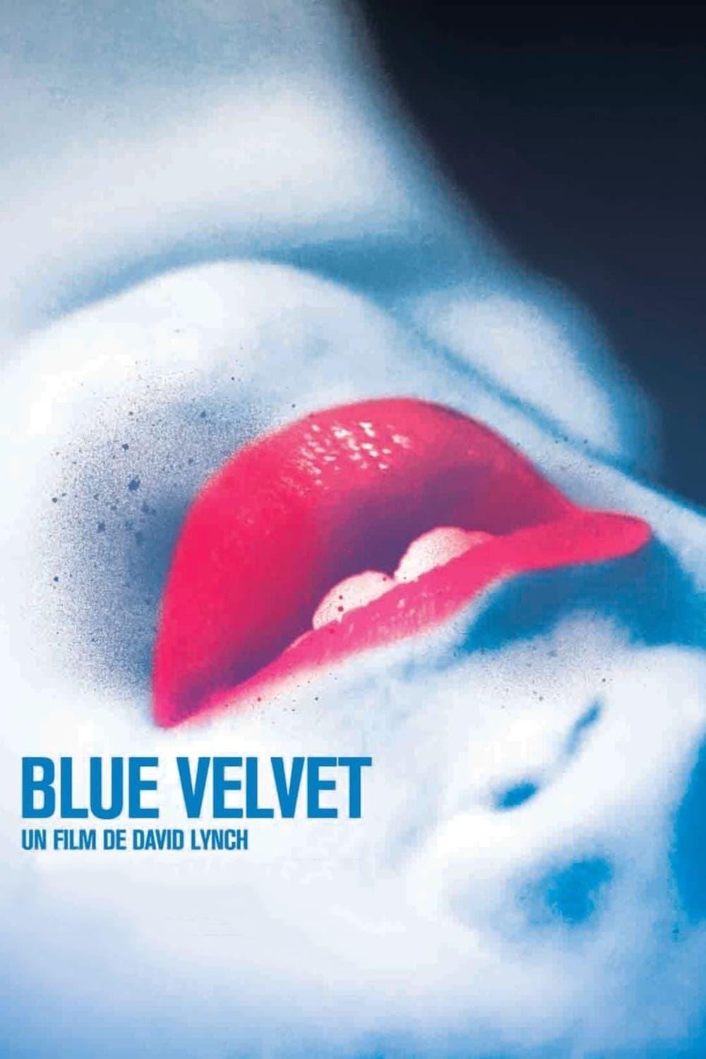 Blue Velvet est-il disponible sur Netflix ou autre ?