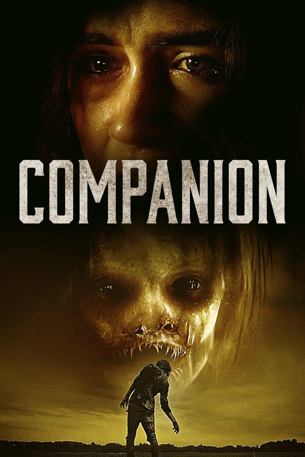 Companion est-il disponible sur Netflix ou autre ?