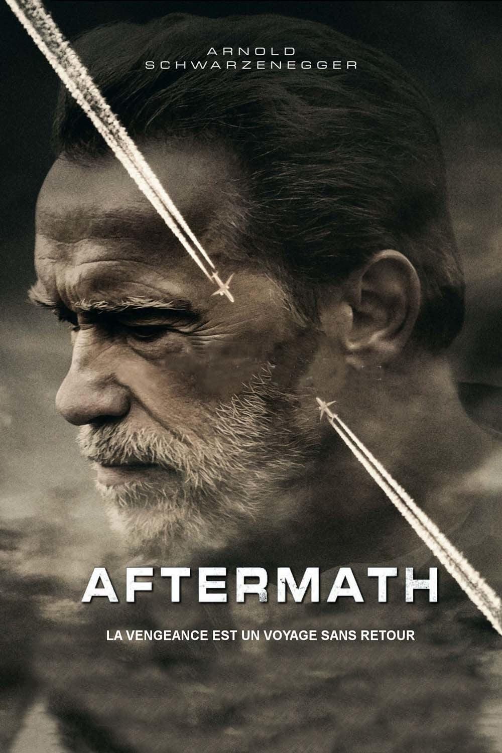 Affiche du film Aftermath poster