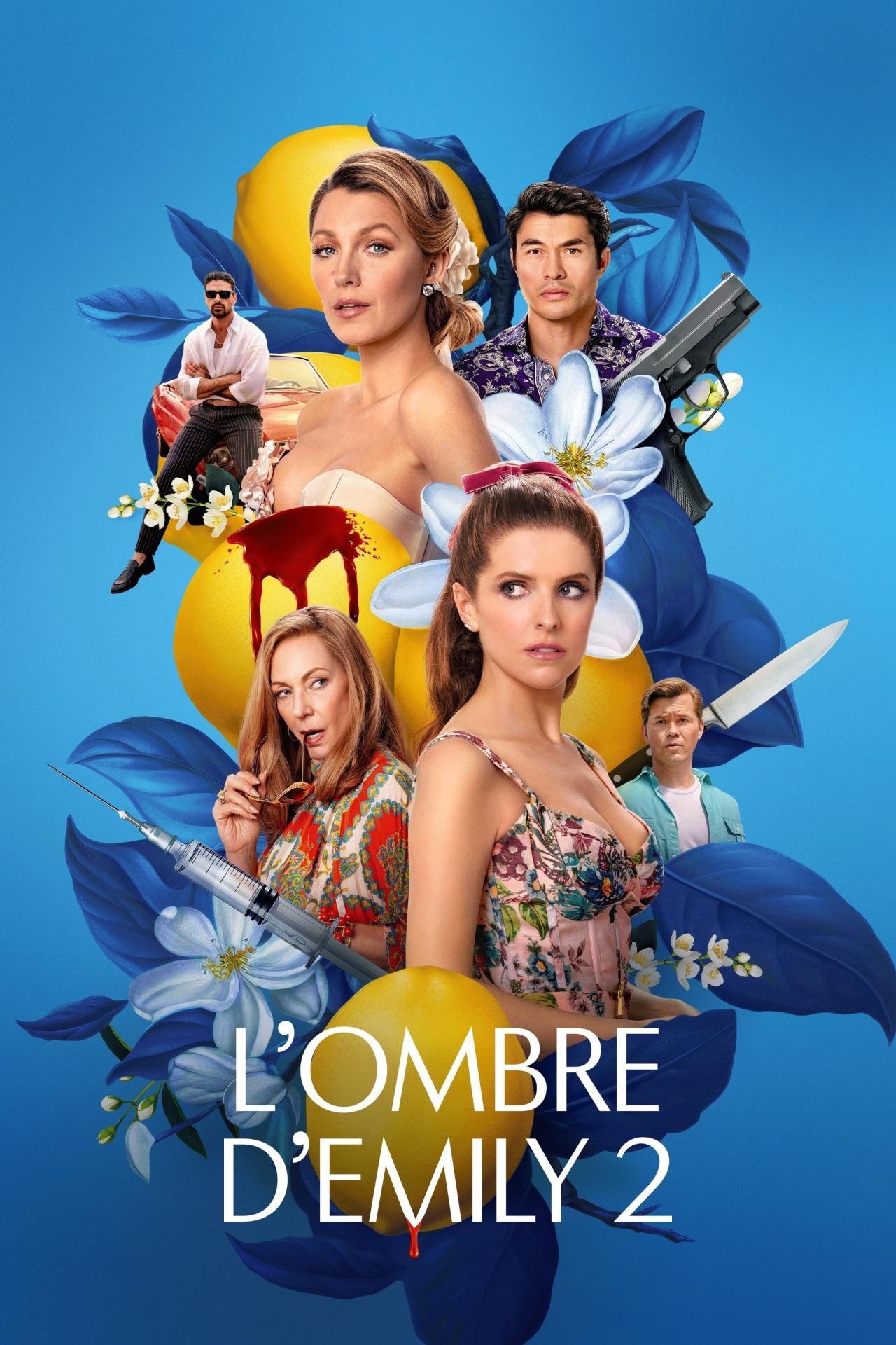 L’Ombre d’Emily 2 est-il disponible sur Netflix ou autre ?