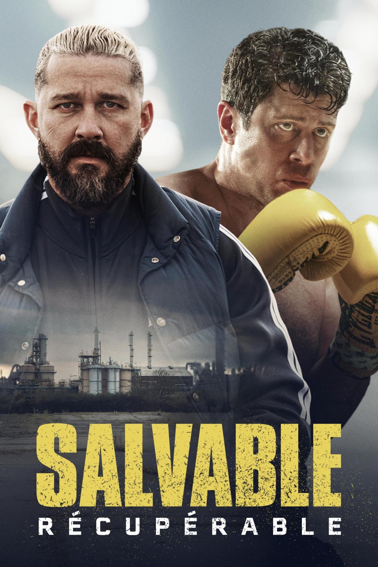 Affiche du film Salvable poster