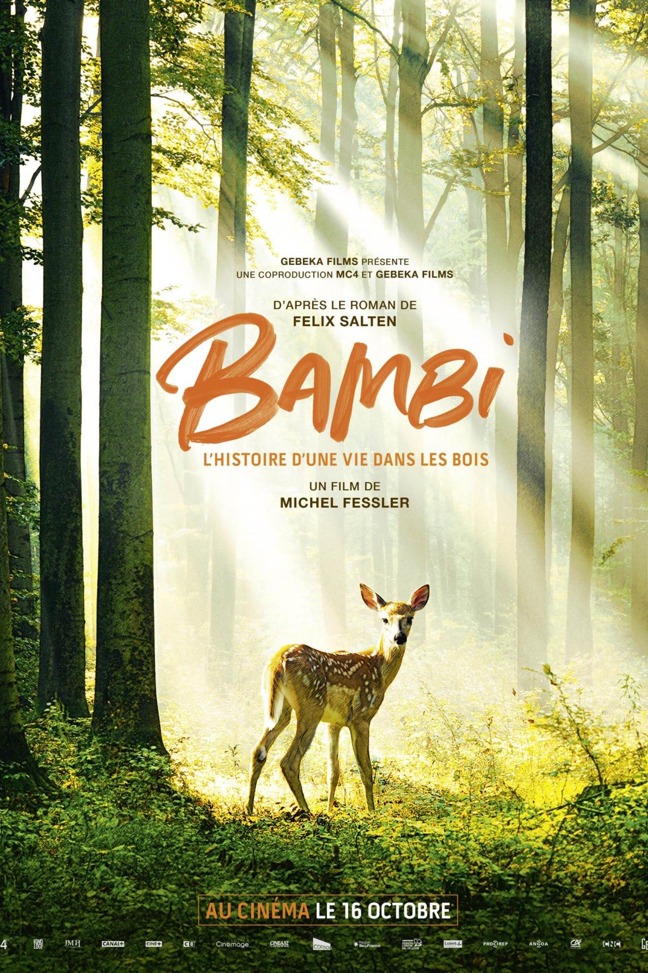 Bambi, l'histoire d'une vie dans les bois est-il disponible sur Netflix ou autre ?