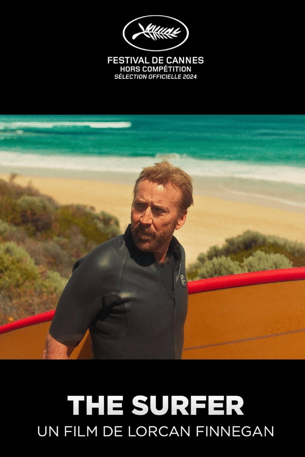 The Surfer est-il disponible sur Netflix ou autre ?