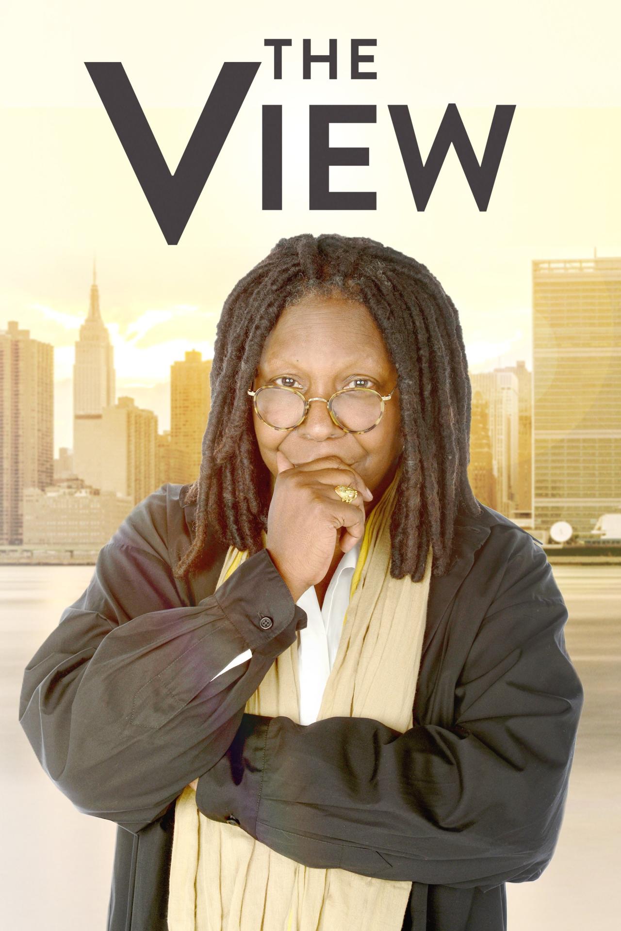 Les saisons de La Vue sont-elles disponibles sur Netflix ou autre ?