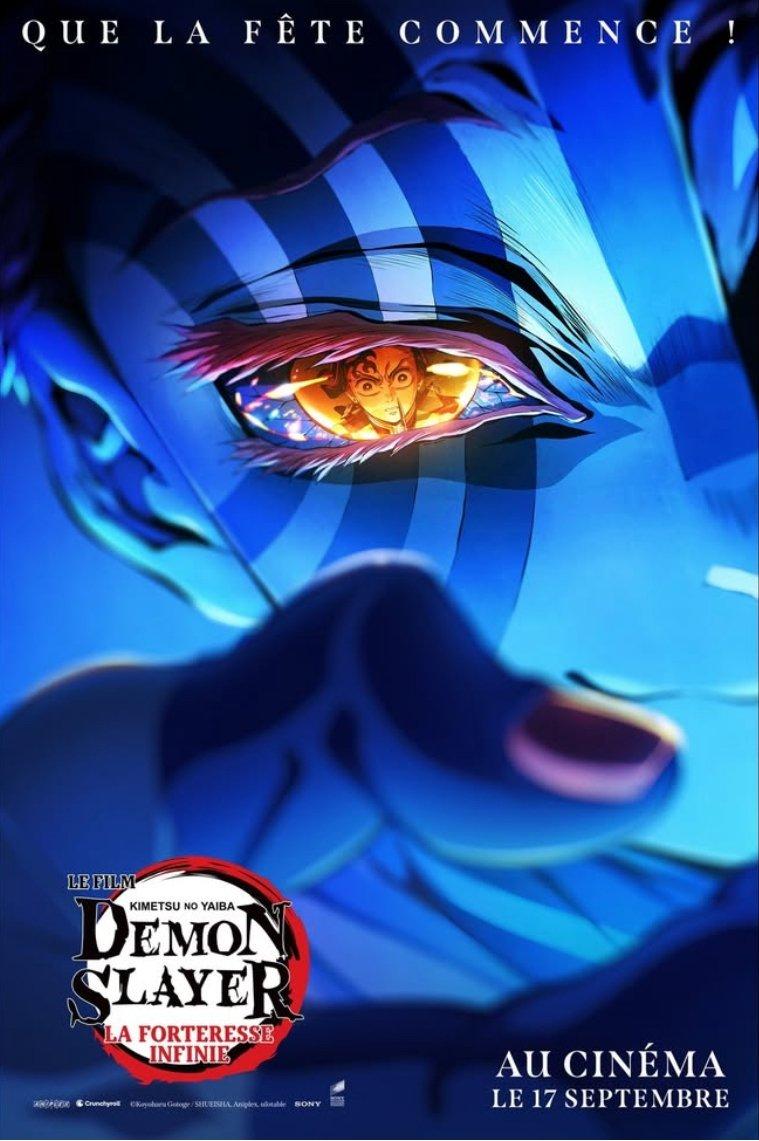 Demon Slayer: Kimetsu no Yaiba - La Forteresse Infinie est-il disponible sur Netflix ou autre ?