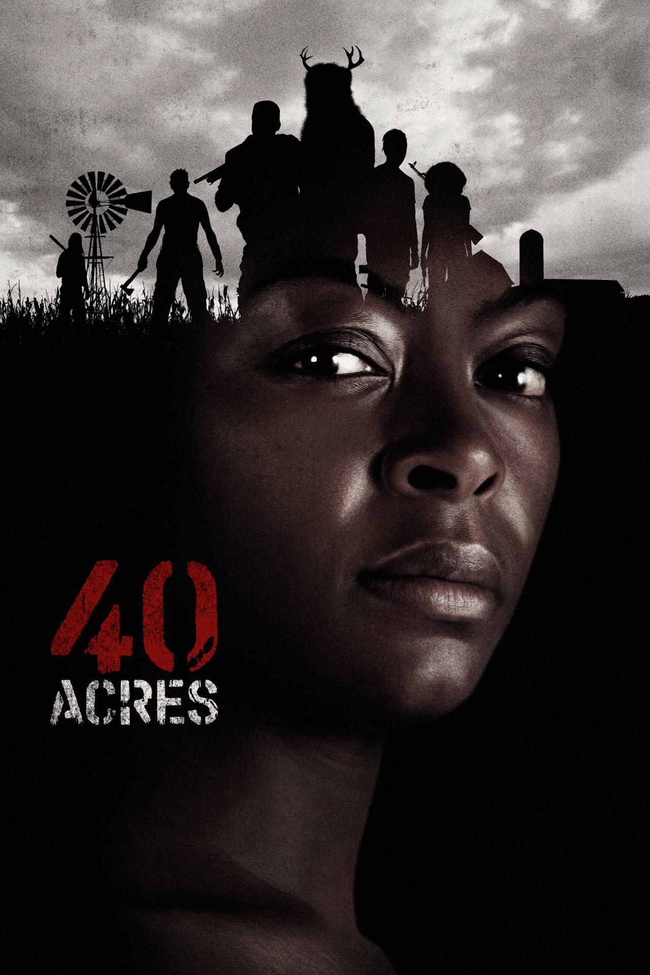40 Acres est-il disponible sur Netflix ou autre ?