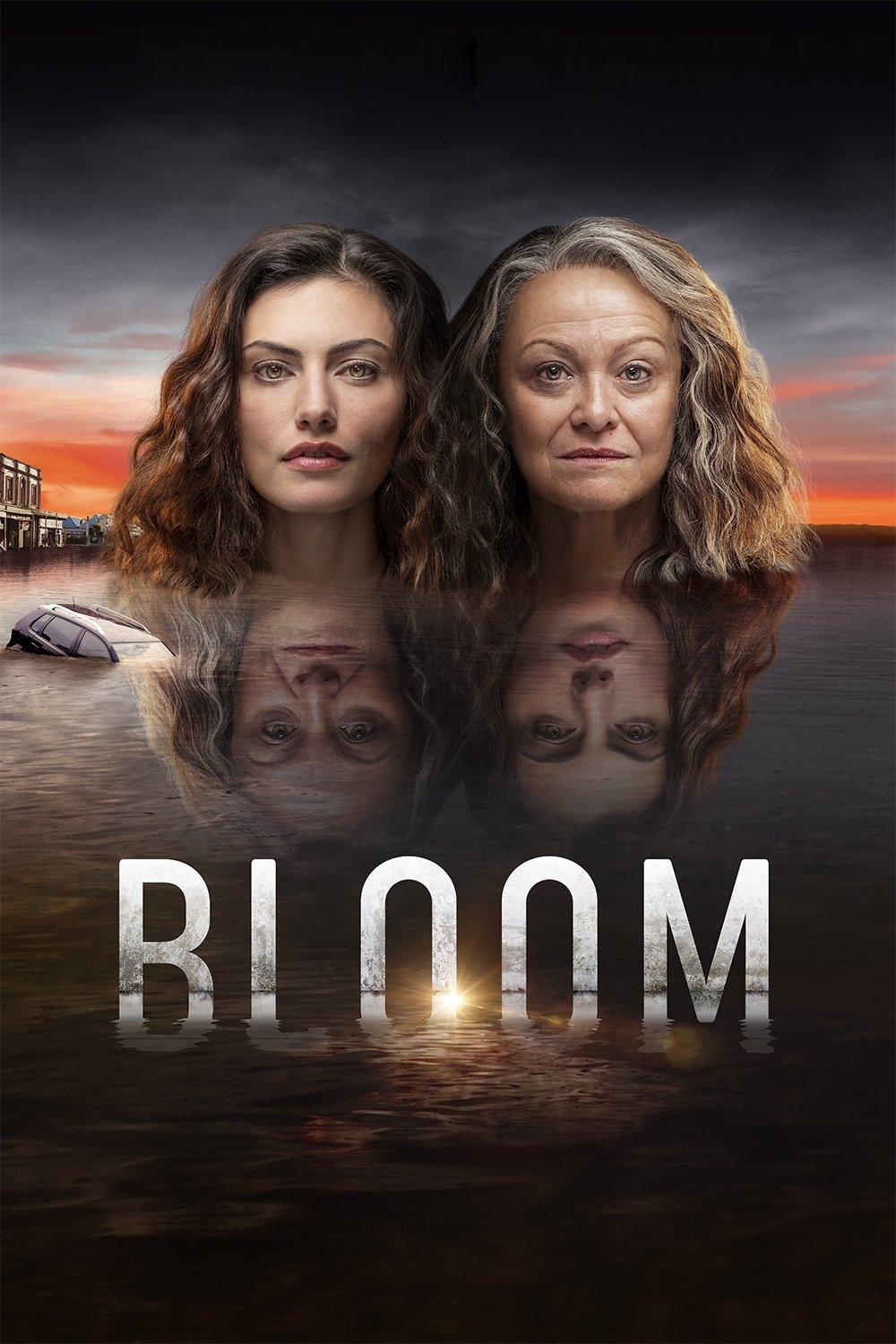Les saisons de BLOOM sont-elles disponibles sur Netflix ou autre ?
