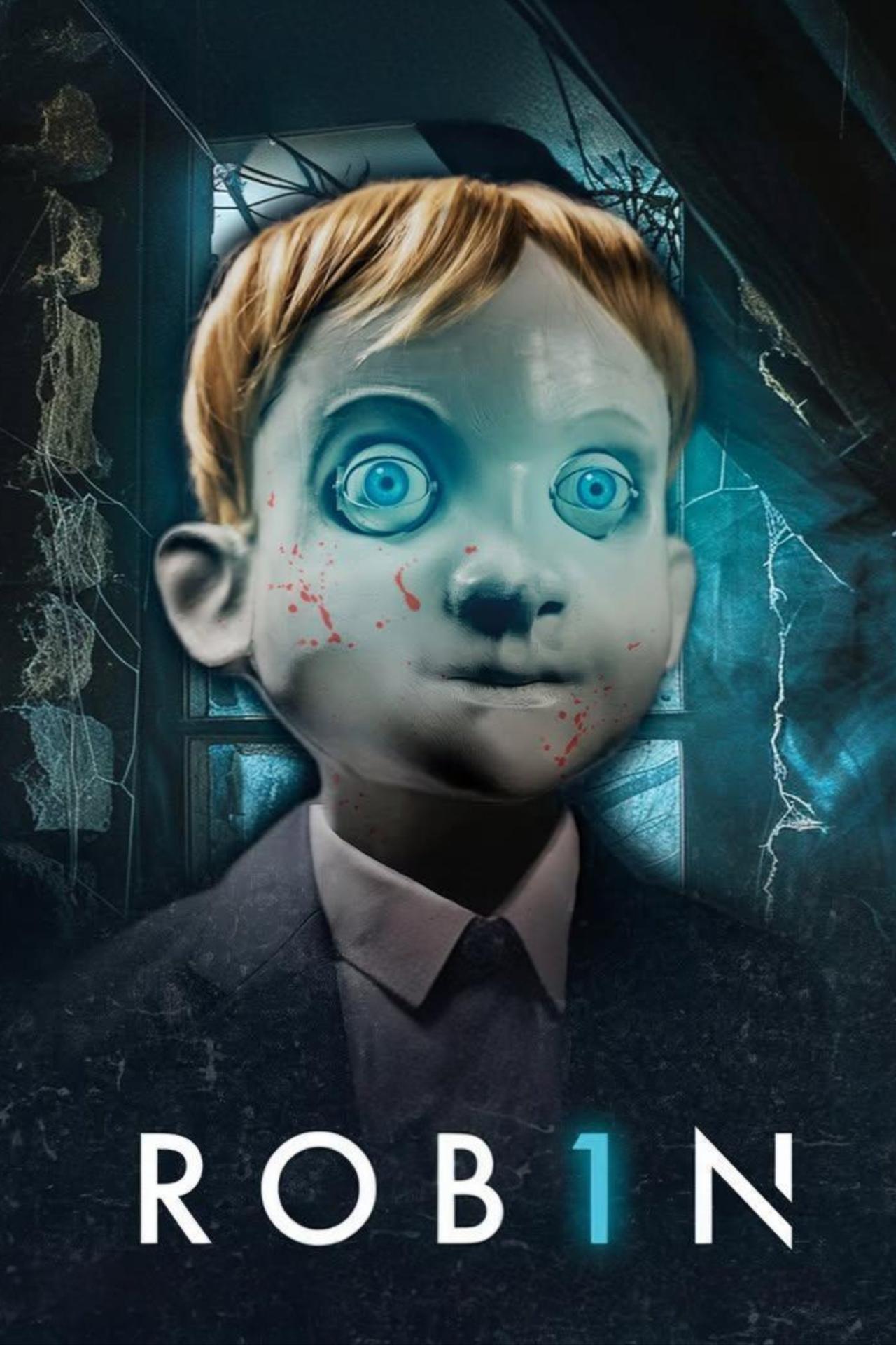 Rob1n est-il disponible sur Netflix ou autre ?
