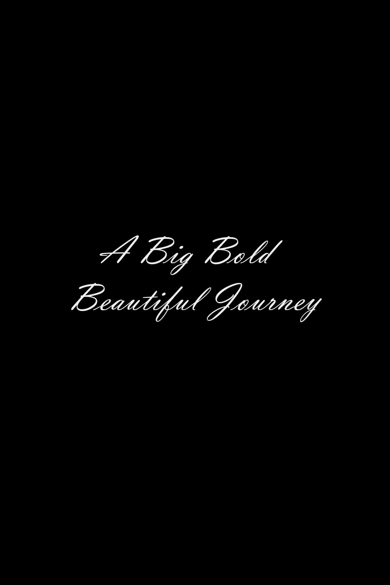 A Big Bold Beautiful Journey est-il disponible sur Netflix ou autre ?