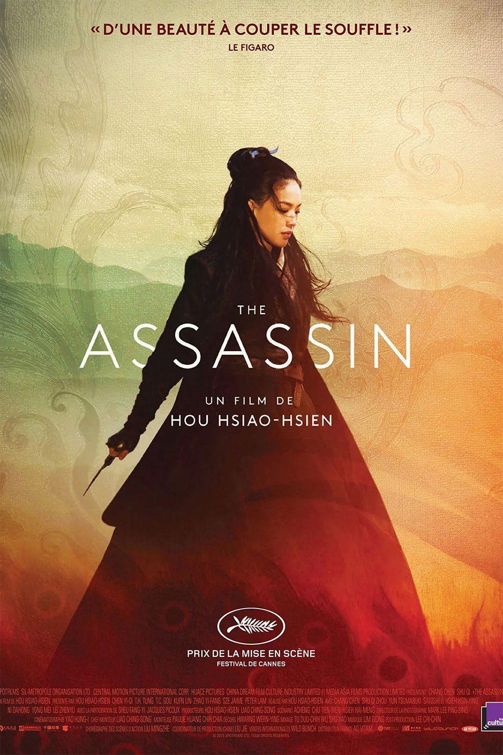 Affiche du film Assassin