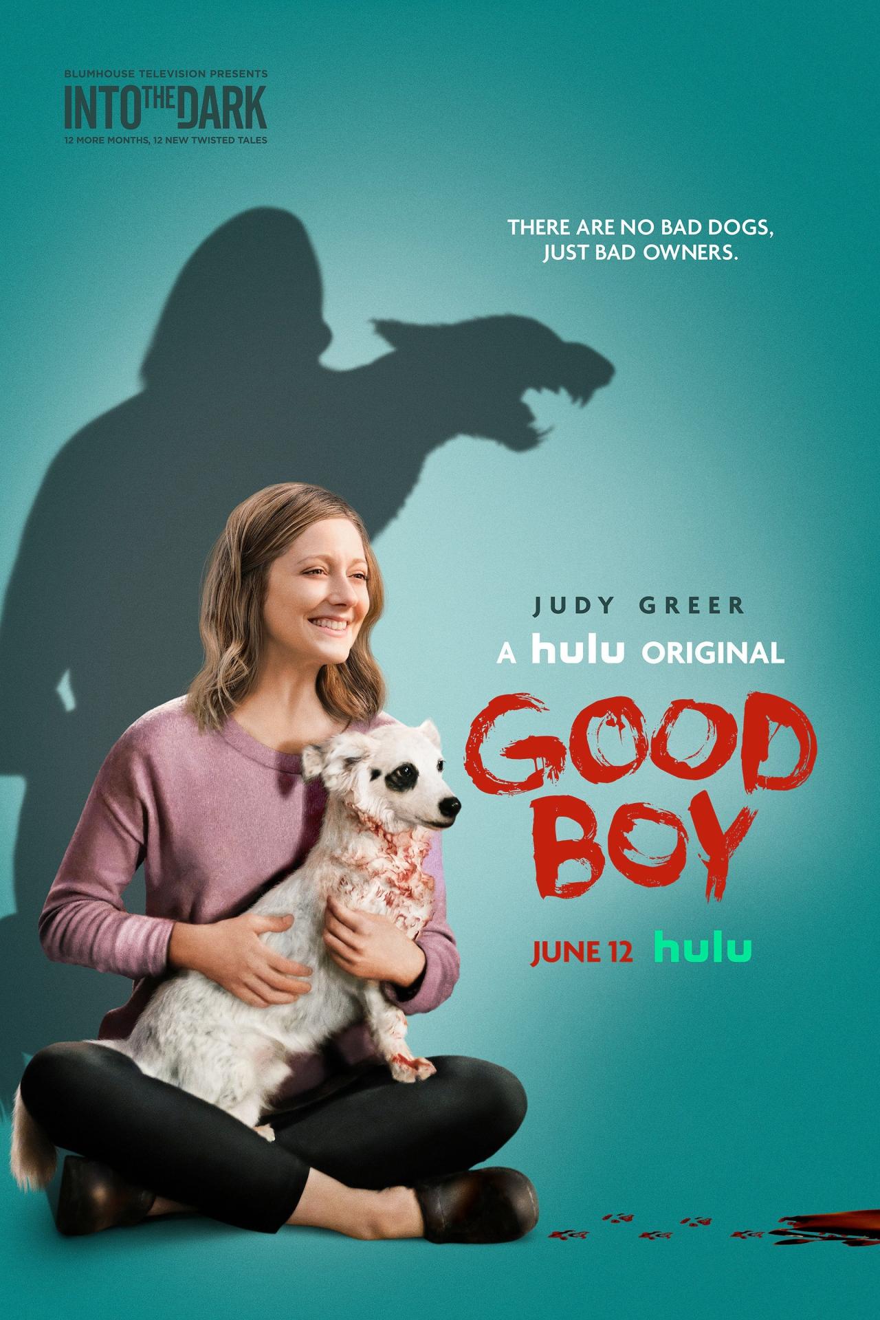 Good Boy est-il disponible sur Netflix ou autre ?