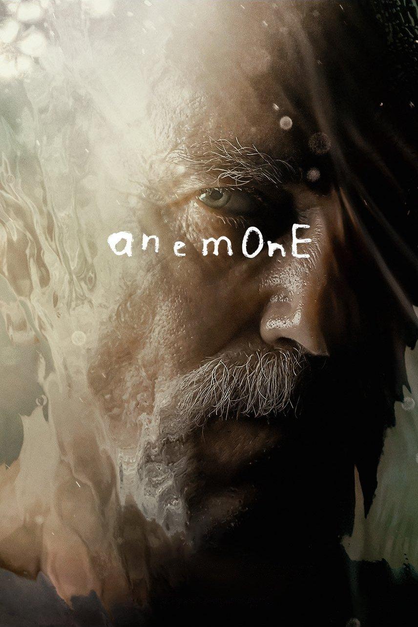 Anemone est-il disponible sur Netflix ou autre ?