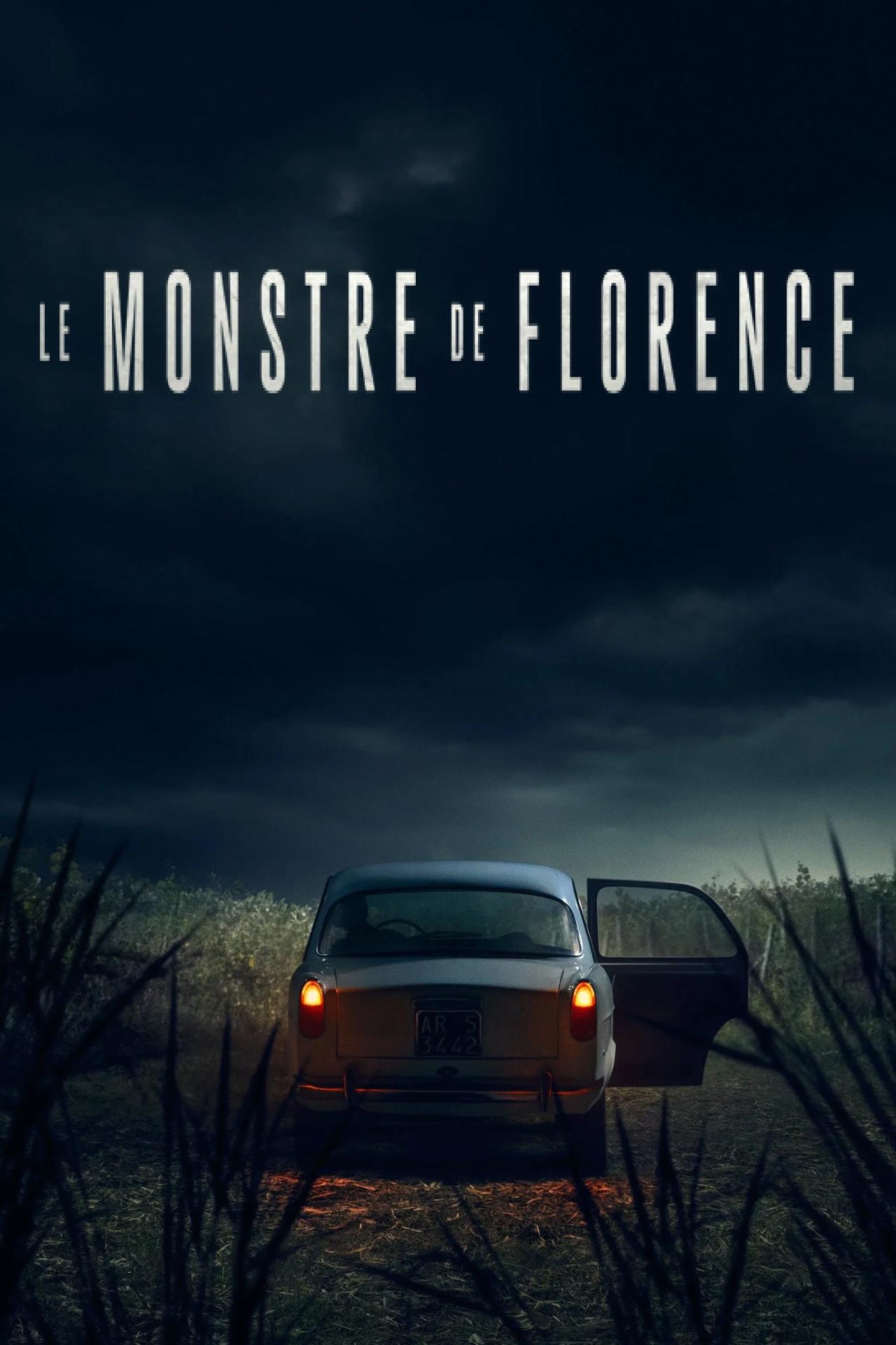 Les saisons de Le Monstre de Florence sont-elles disponibles sur Netflix ou autre ?