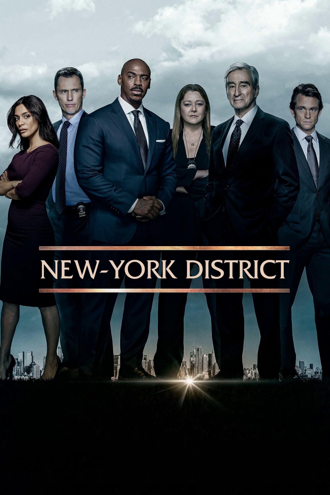 Les saisons de New York Police Judiciaire sont-elles disponibles sur Netflix ou autre ?