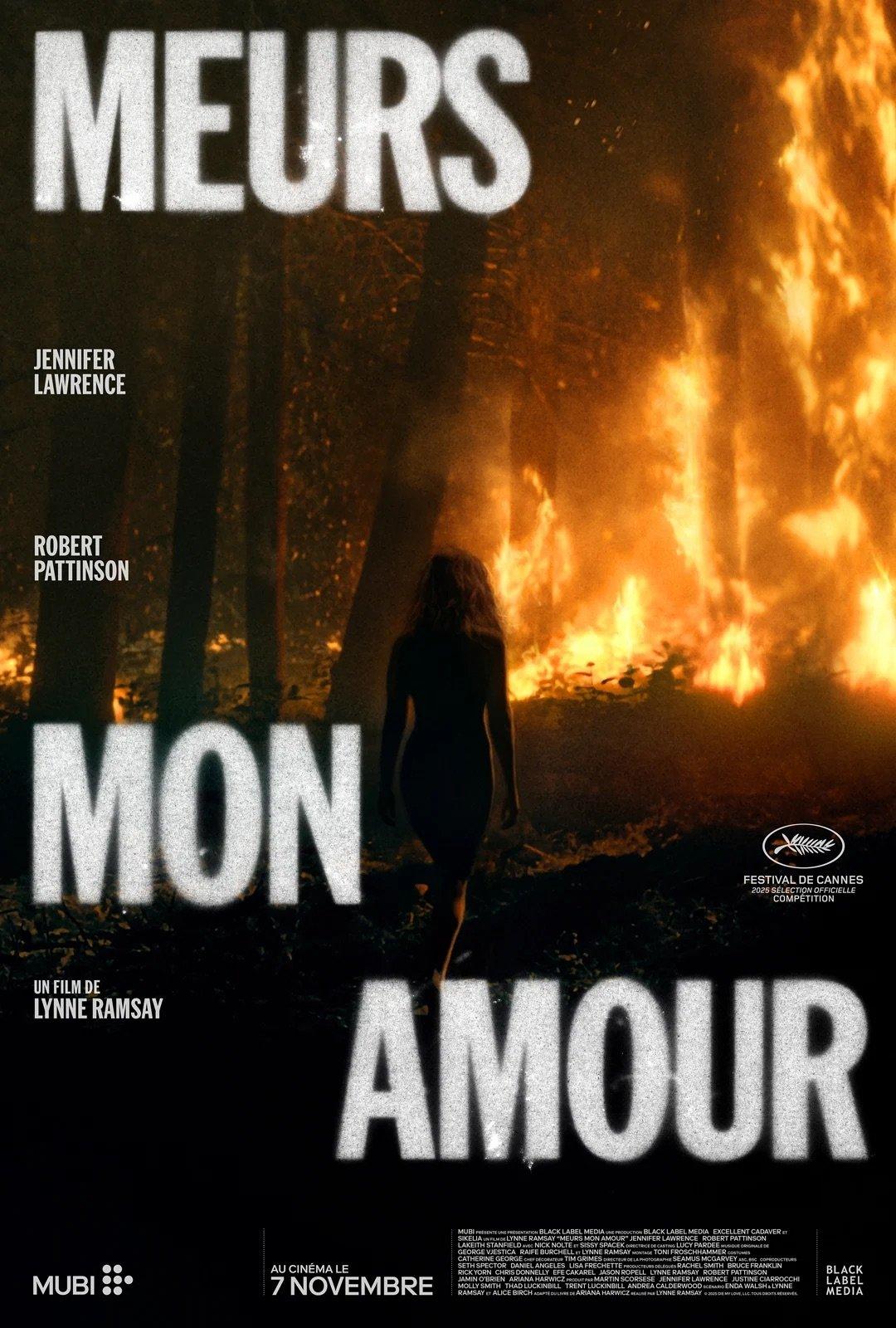 Die My Love est-il disponible sur Netflix ou autre ?