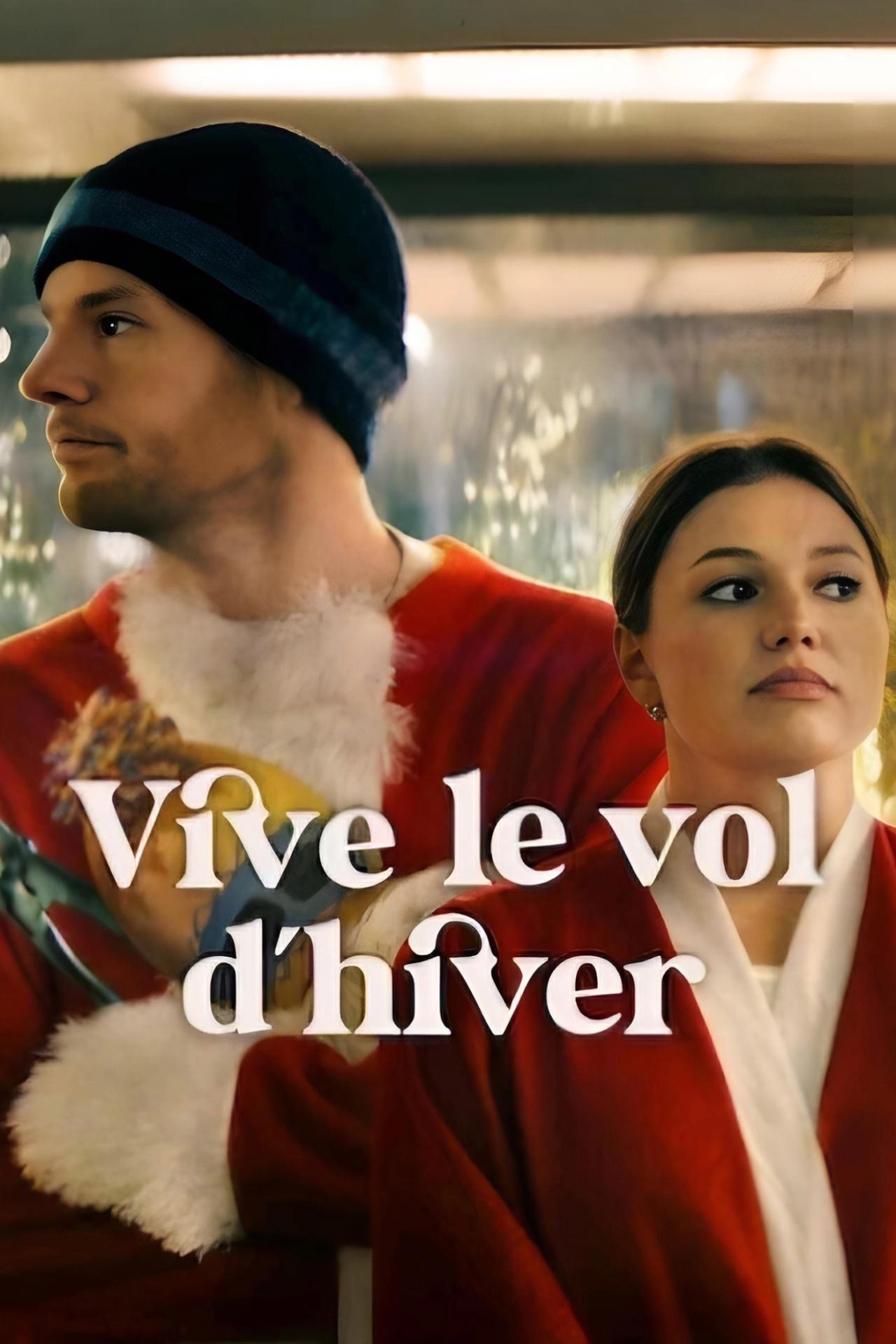 Vive le vol d'hiver est-il disponible sur Netflix ou autre ?