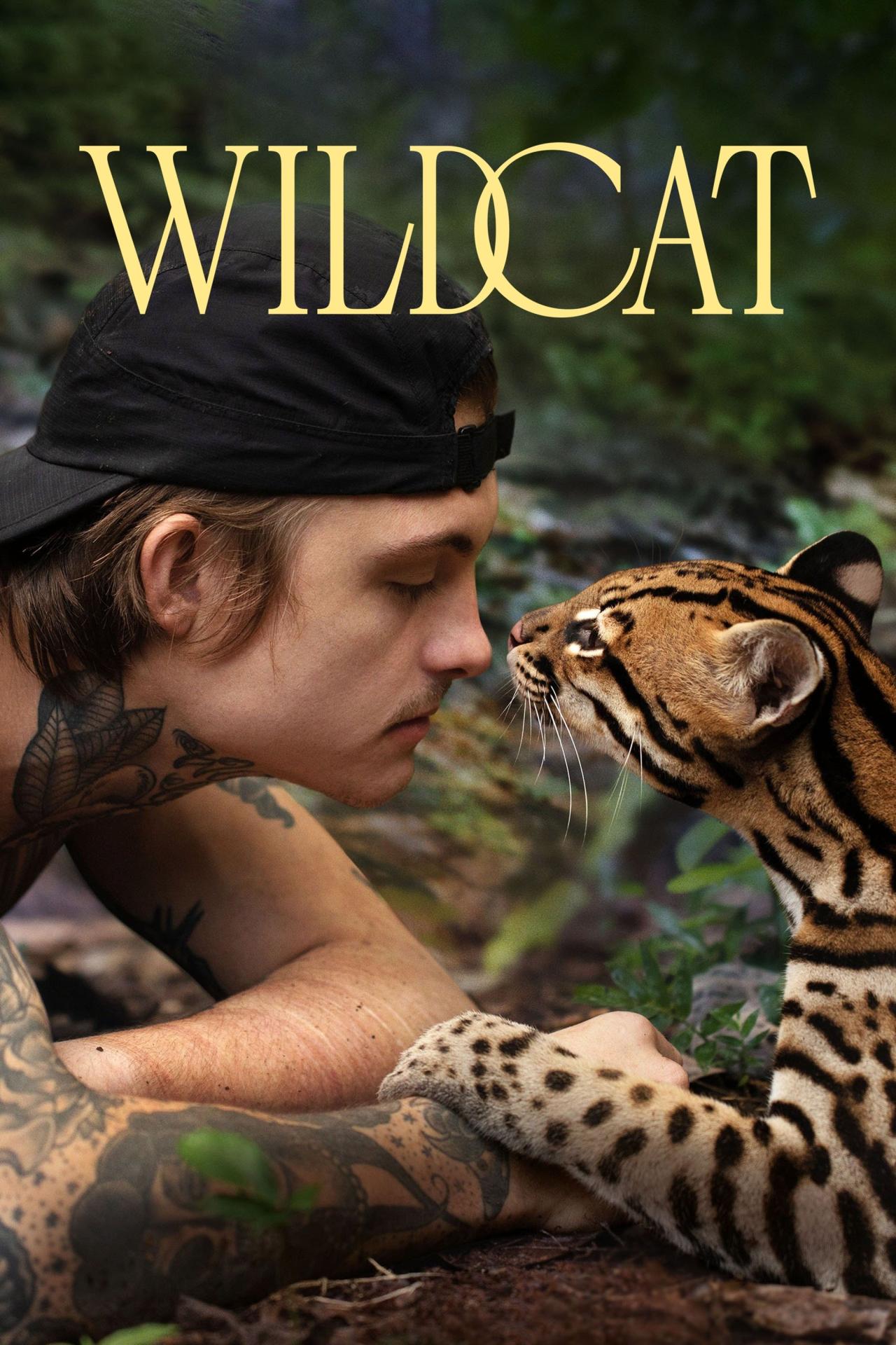 Wildcat est-il disponible sur Netflix ou autre ?