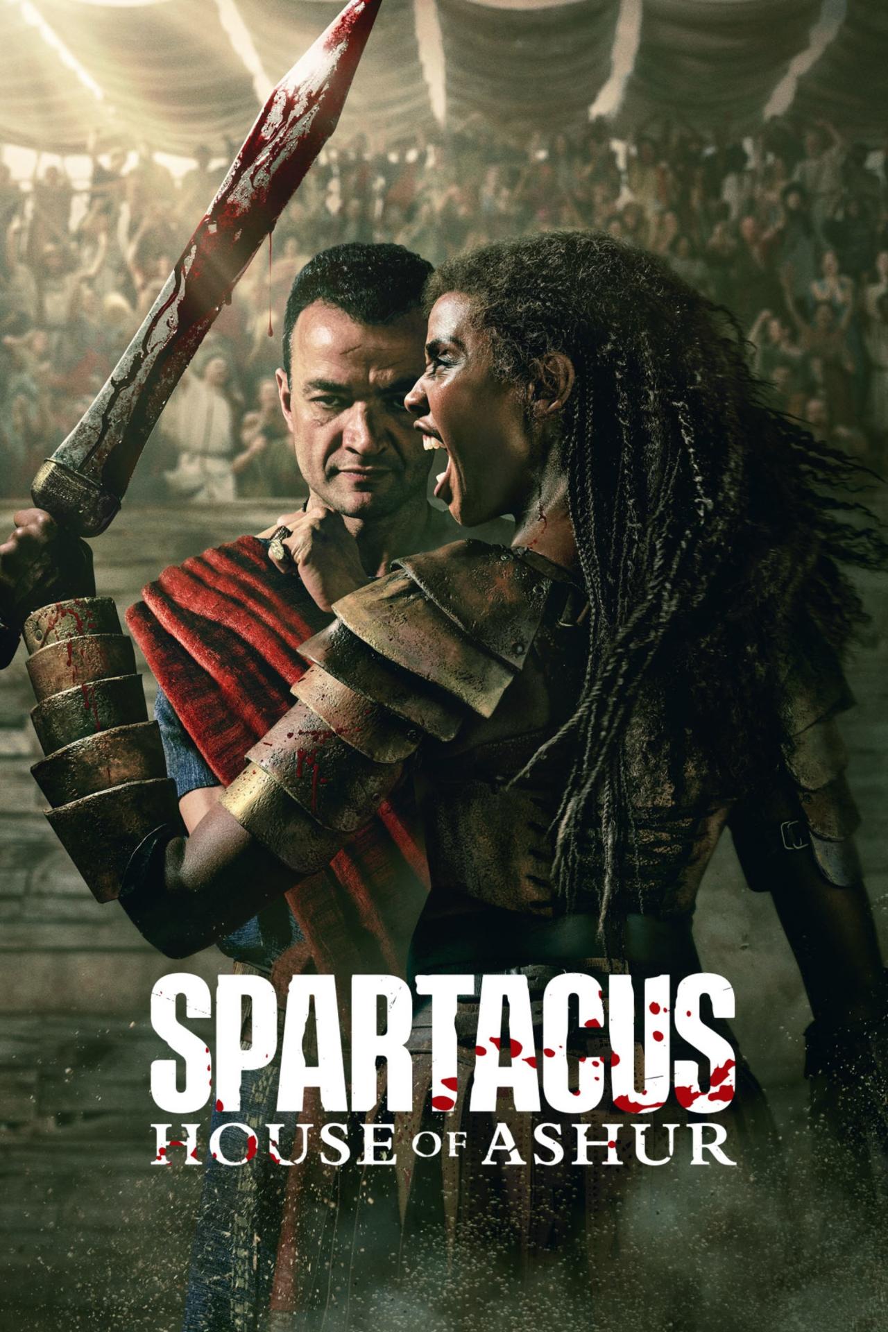 Les saisons de Spartacus: House of Ashur sont-elles disponibles sur Netflix ou autre ?