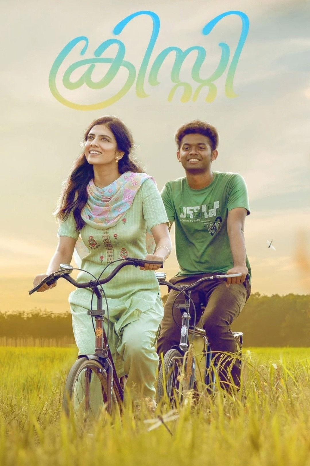 Christy est-il disponible sur Netflix ou autre ?