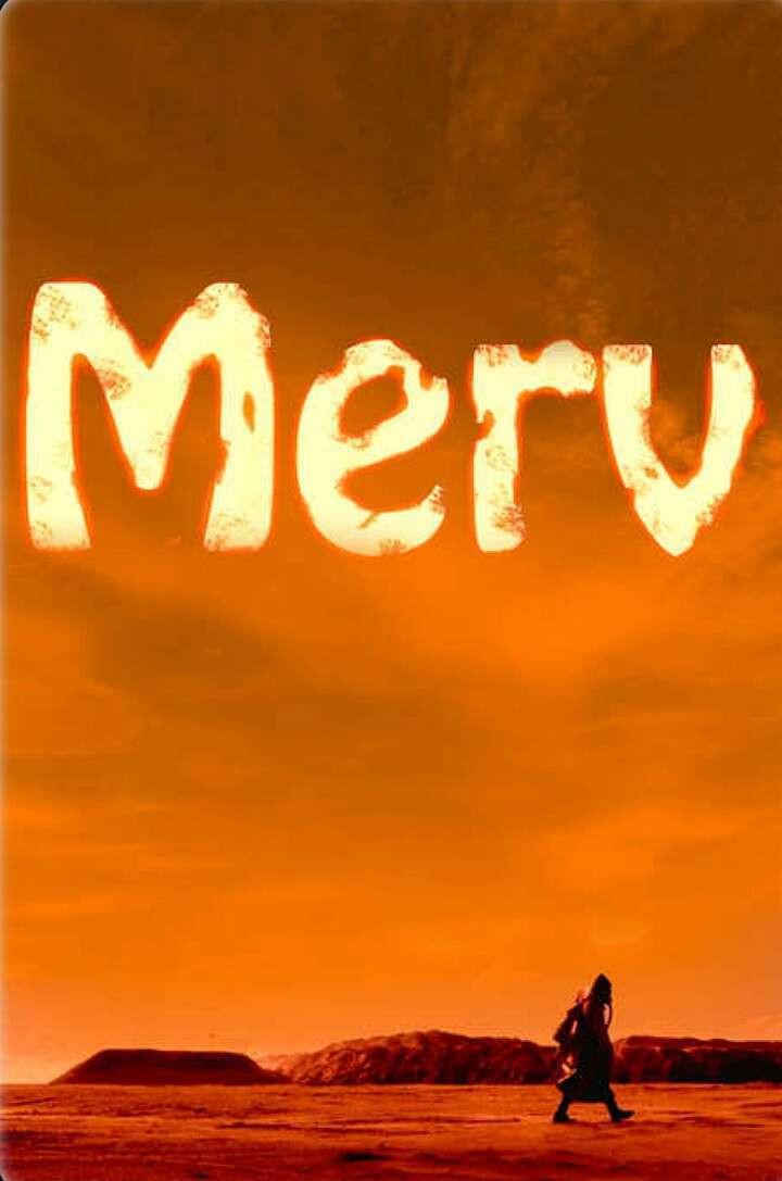 Merv est-il disponible sur Netflix ou autre ?