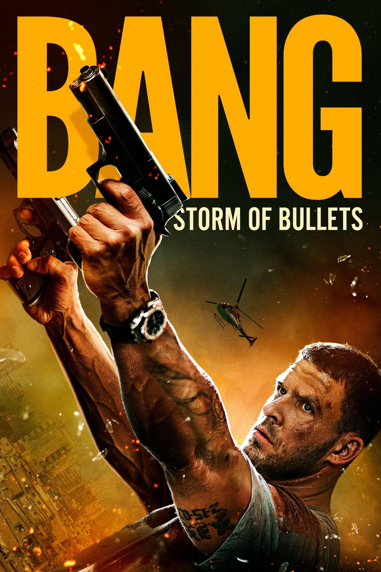 Bang: storm of bullets est-il disponible sur Netflix ou autre ?