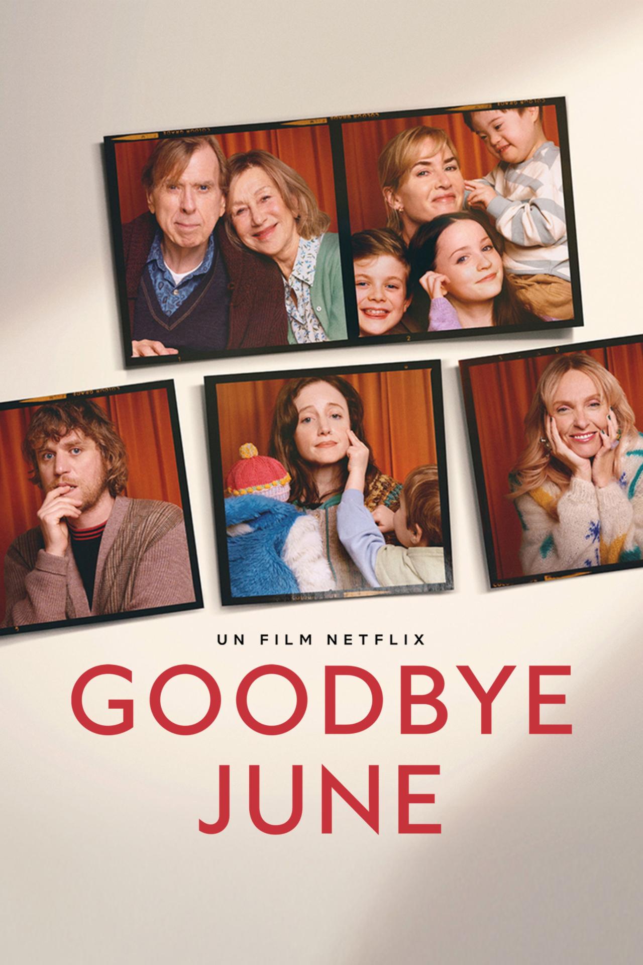 Goodbye June est-il disponible sur Netflix ou autre ?