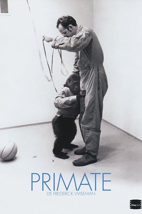 Primate est-il disponible sur Netflix ou autre ?