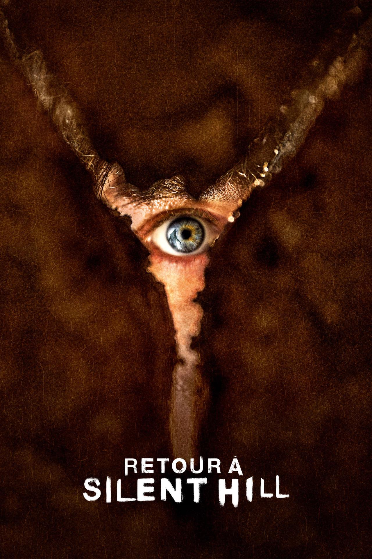 Retour à Silent Hill est-il disponible sur Netflix ou autre ?