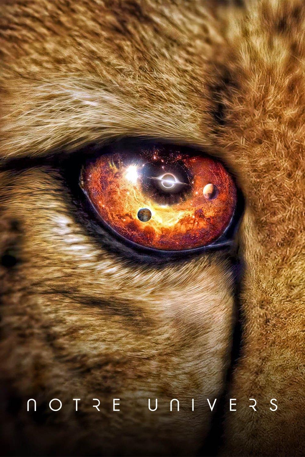 Les saisons de Our Universe sont-elles disponibles sur Netflix ou autre ?