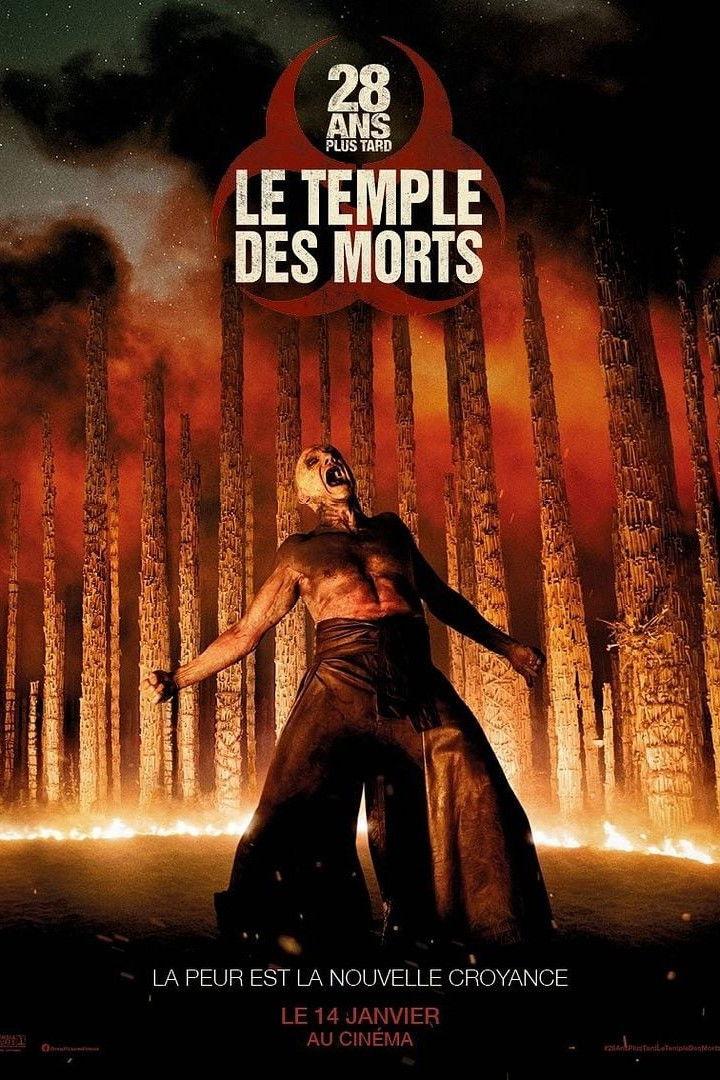 28 ans plus tard - Le temple des morts est-il disponible sur Netflix ou autre ?