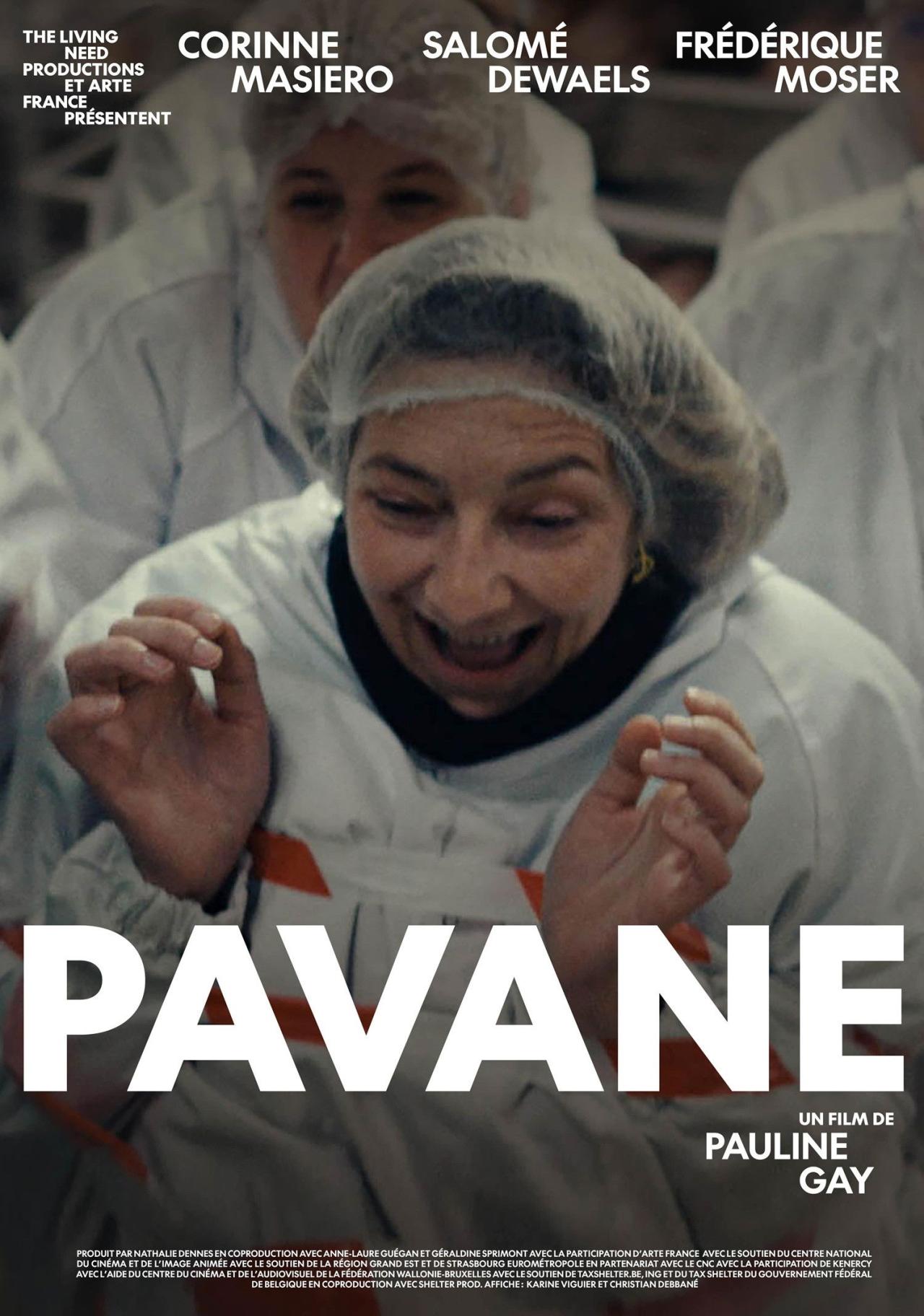 Pavane est-il disponible sur Netflix ou autre ?