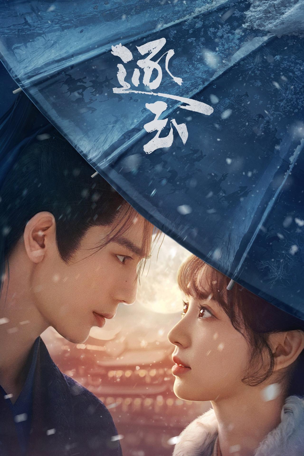 Les saisons de Pursuit of Jade sont-elles disponibles sur Netflix ou autre ?