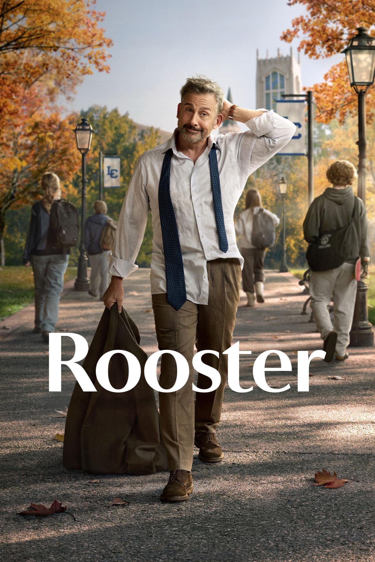 Les saisons de Rooster sont-elles disponibles sur Netflix ou autre ?